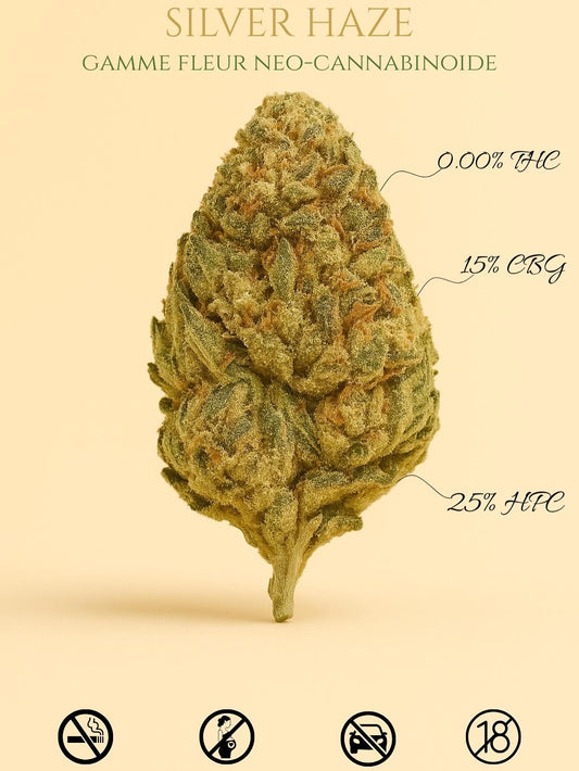 Silver Haze - 15% CBG | 25% HPC (SANS THC)