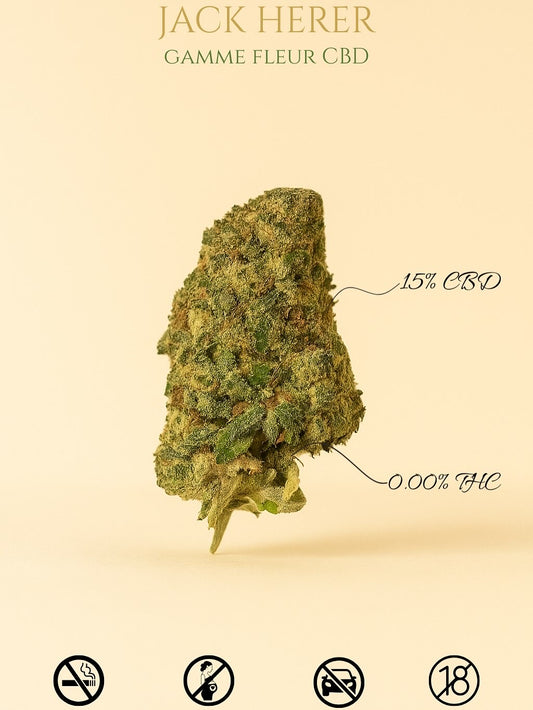Jack Herrer - 15% CBD (SANS THC)
