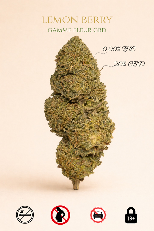 Lemon Berry 20% CBD | 0.00% THC
